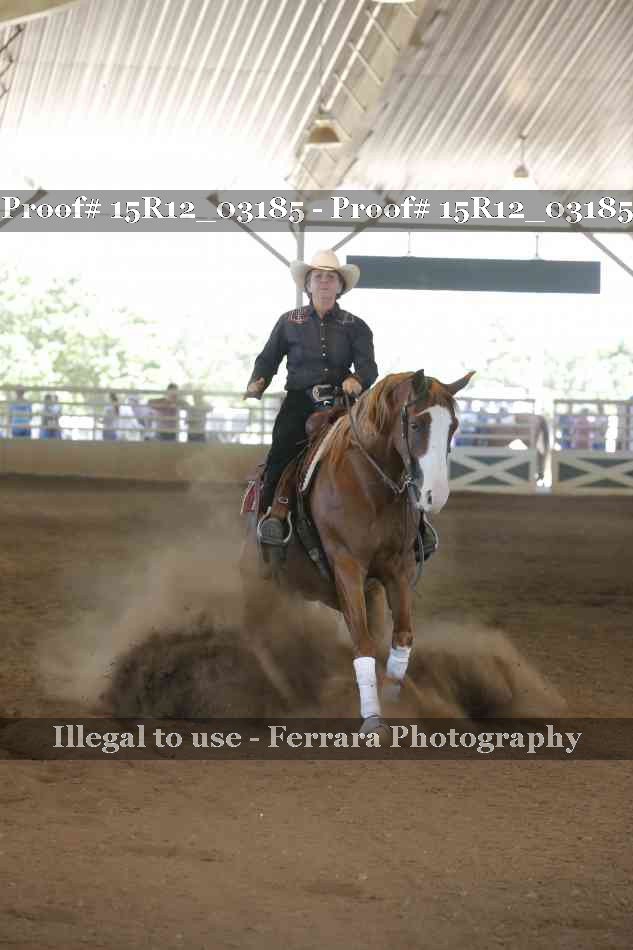 Proof 15R12_03185