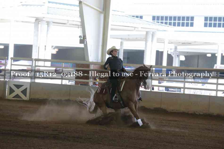 Proof 15R12_03188