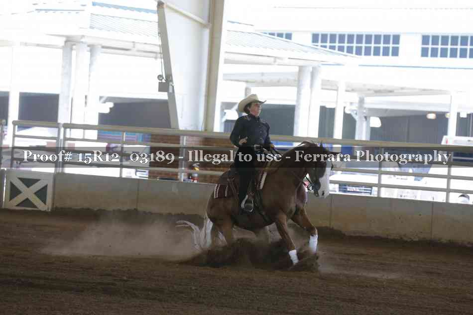 Proof 15R12_03189