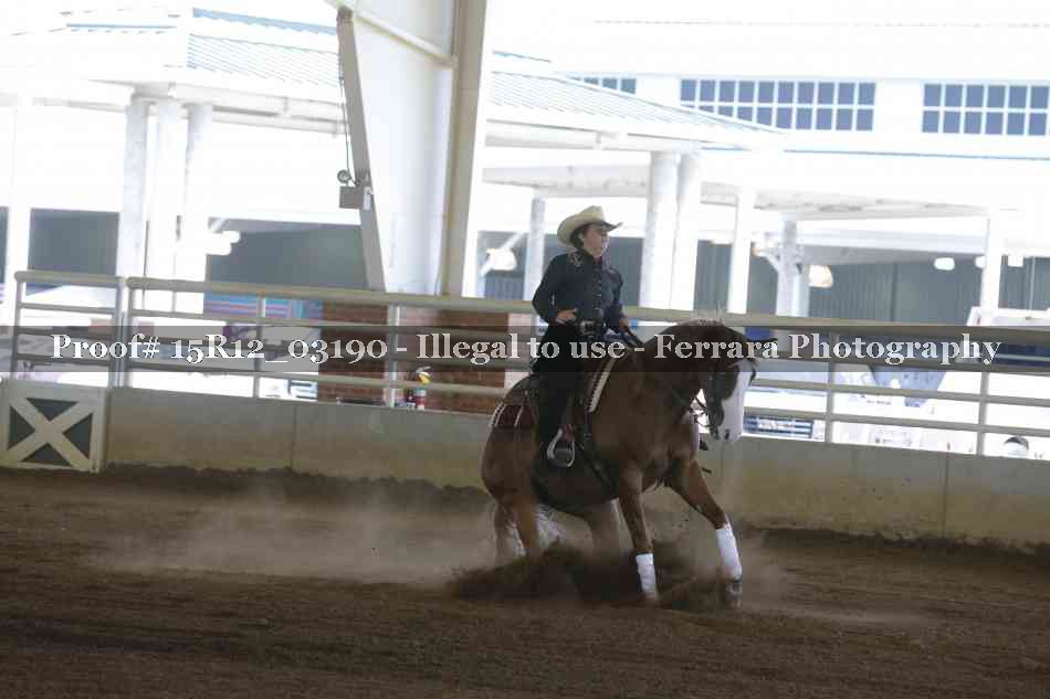 Proof 15R12_03190