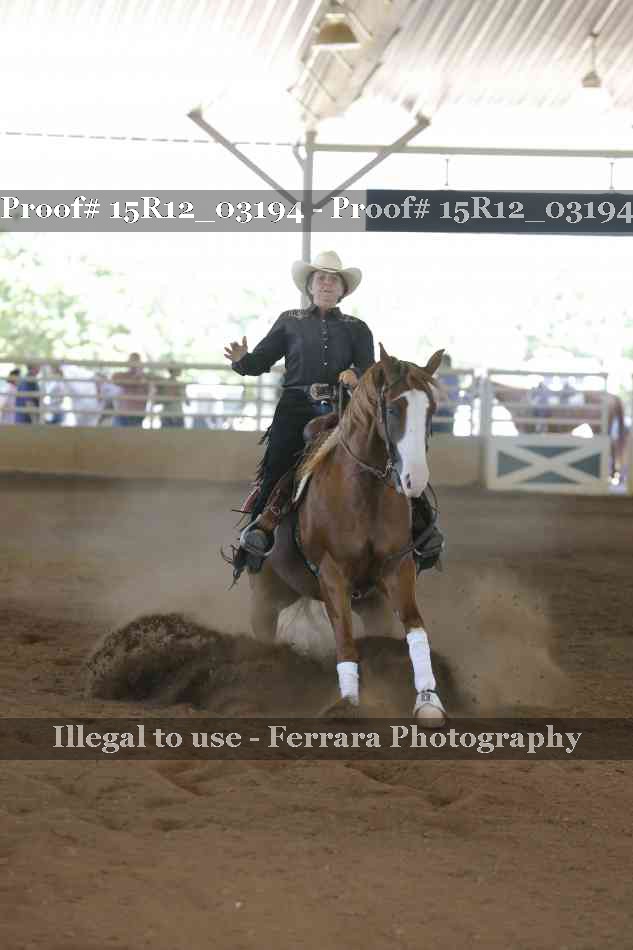 Proof 15R12_03194