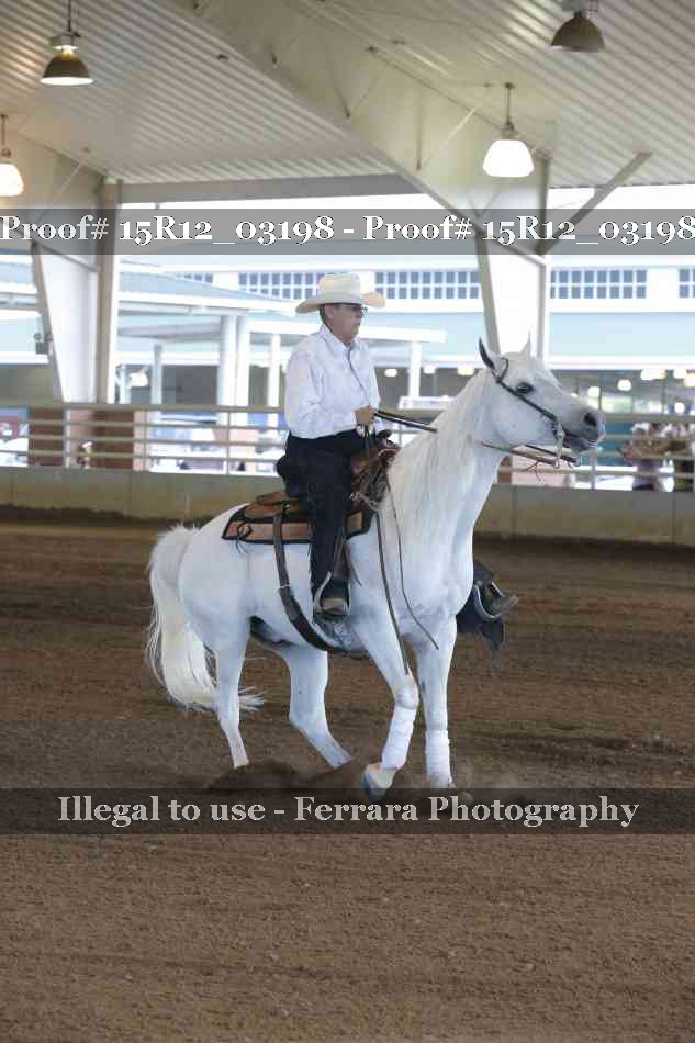 Proof 15R12_03198