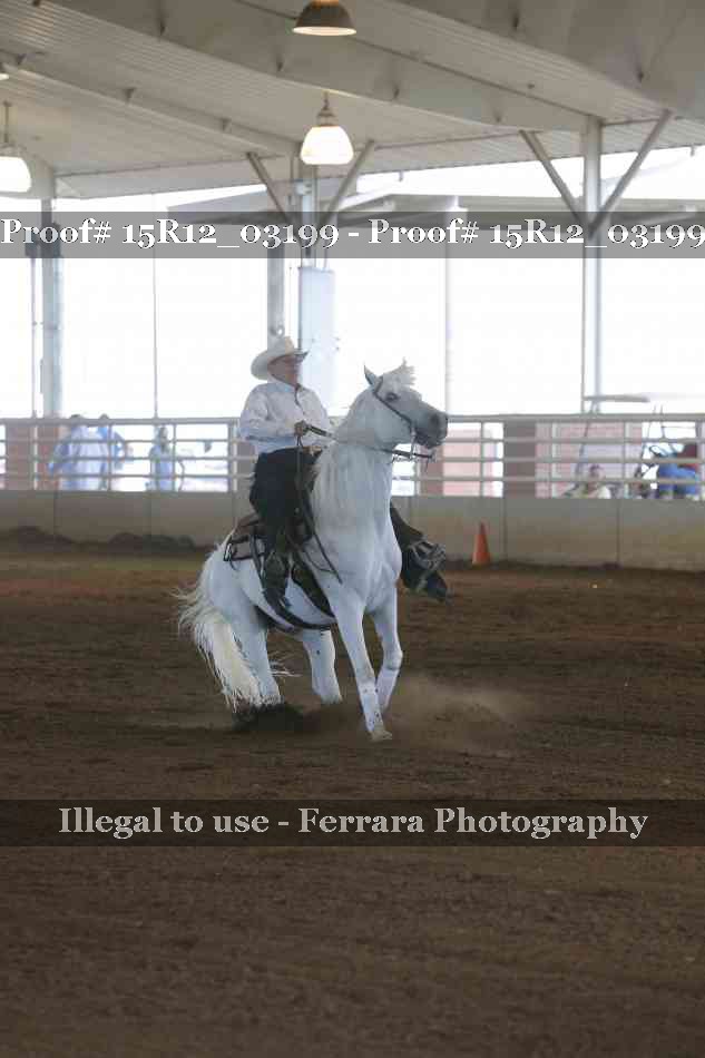 Proof 15R12_03199