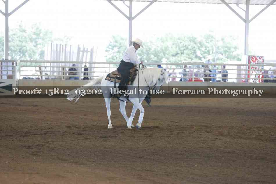 Proof 15R12_03202