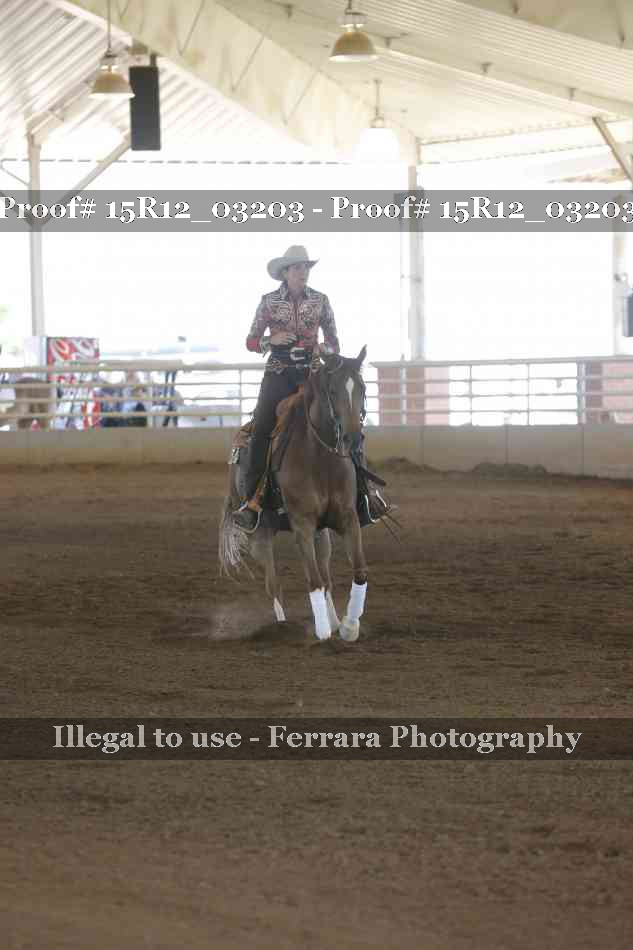 Proof 15R12_03203