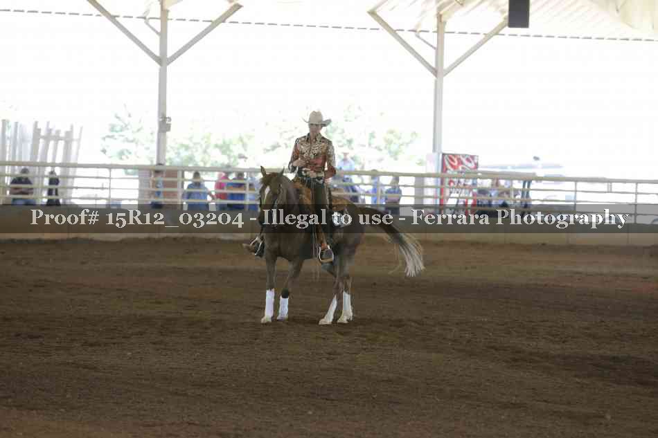 Proof 15R12_03204