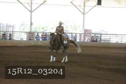 15R12_03204 proof