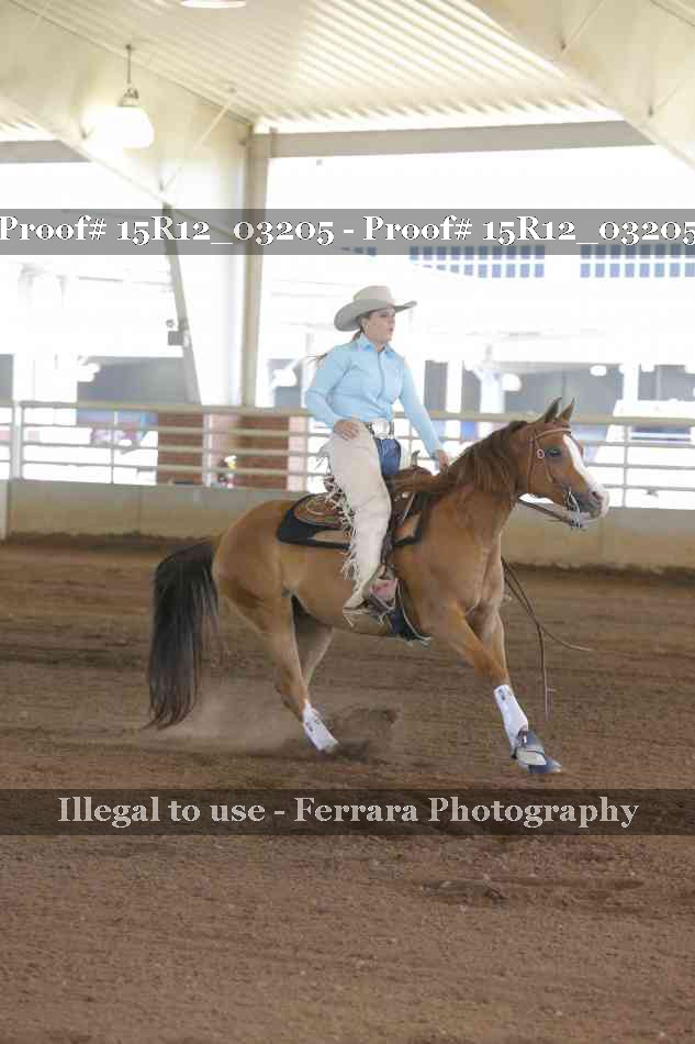 Proof 15R12_03205