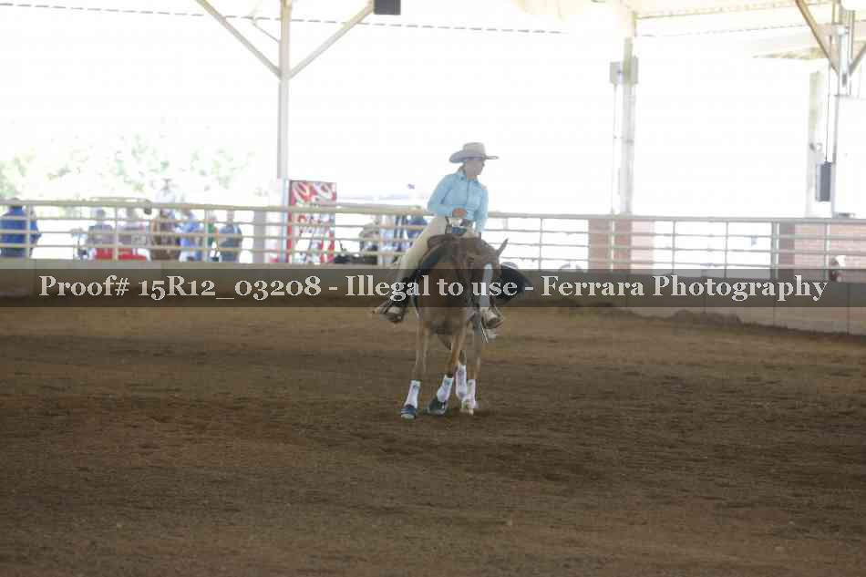 Proof 15R12_03208