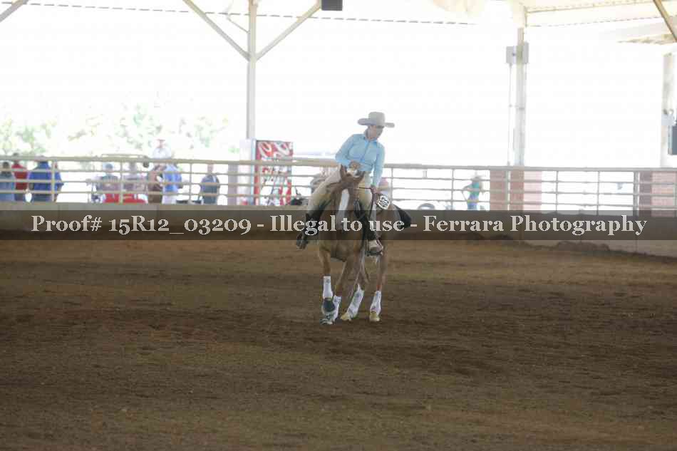 Proof 15R12_03209