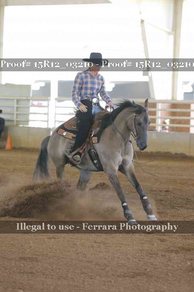 Proof 15R12_03210