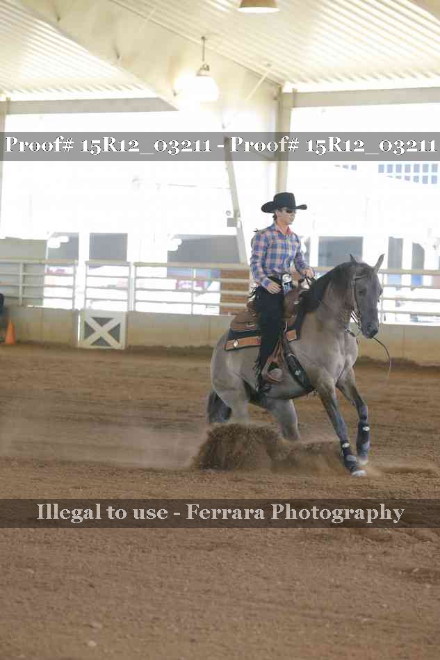 Proof 15R12_03211