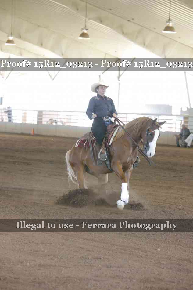 Proof 15R12_03213