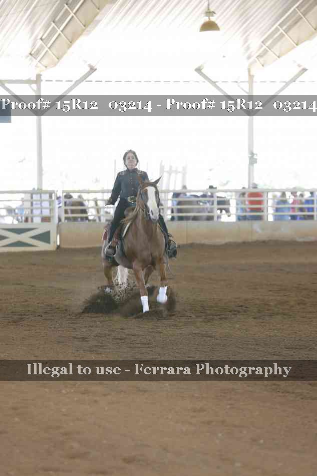 Proof 15R12_03214