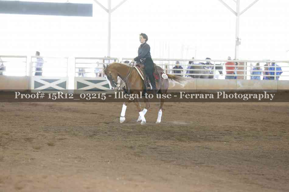 Proof 15R12_03215