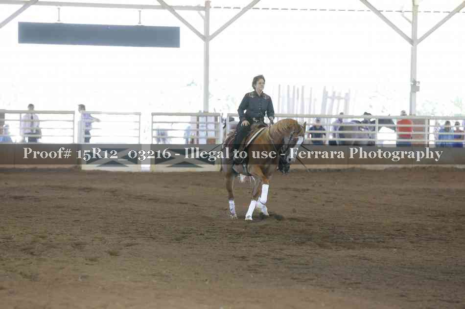 Proof 15R12_03216