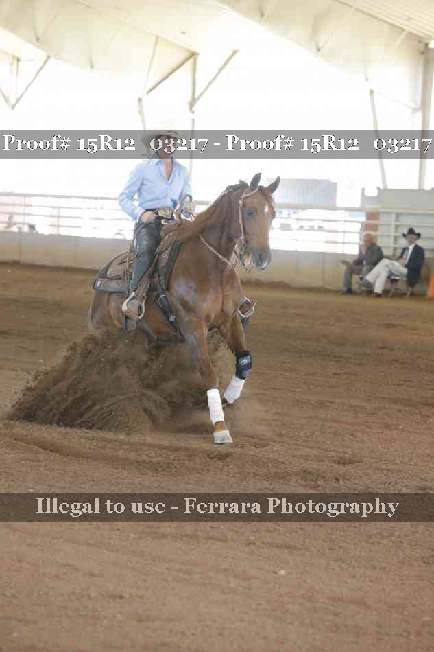 Proof 15R12_03217