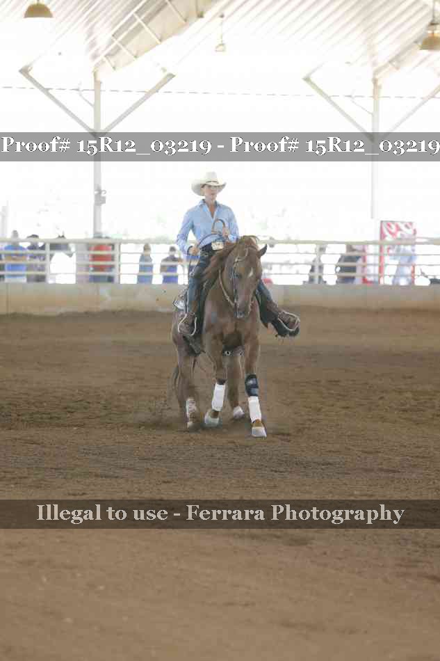 Proof 15R12_03219