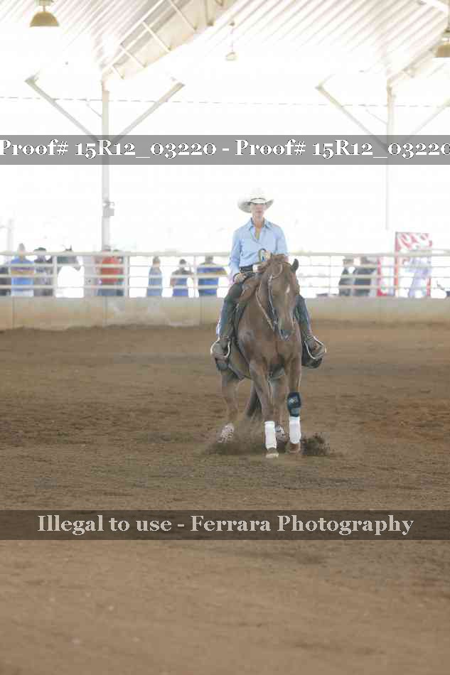 Proof 15R12_03220
