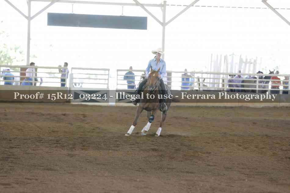 Proof 15R12_03224