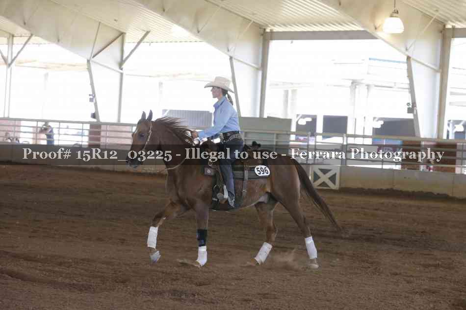 Proof 15R12_03225