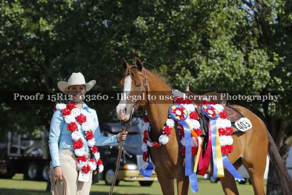 Proof 15R12_03260