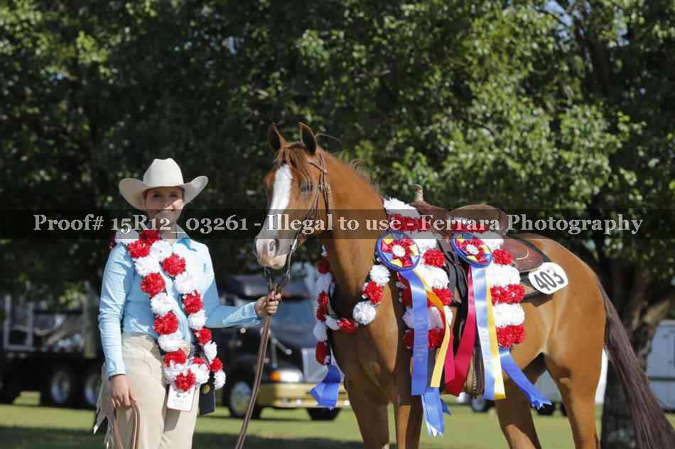 Proof 15R12_03261