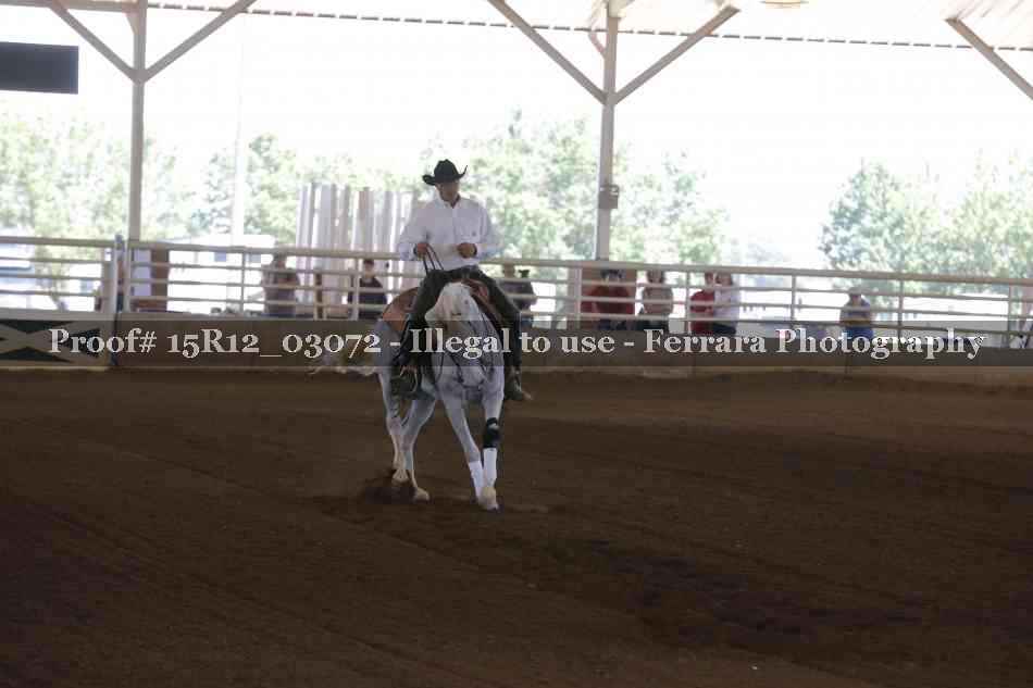 Proof 15R12_03072