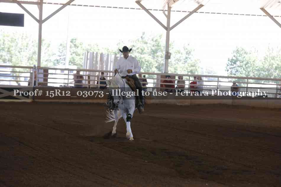Proof 15R12_03073