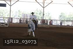 15R12_03073 proof