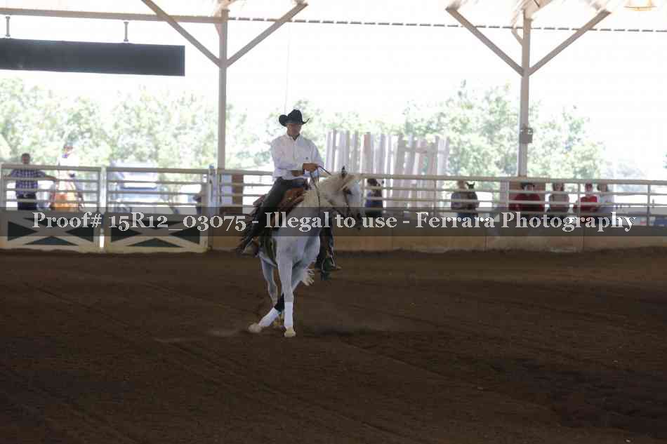 Proof 15R12_03075
