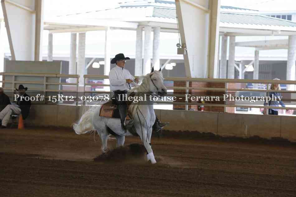Proof 15R12_03078