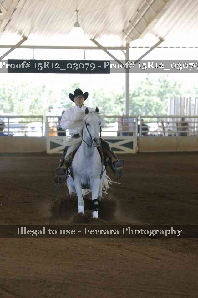 Proof 15R12_03079