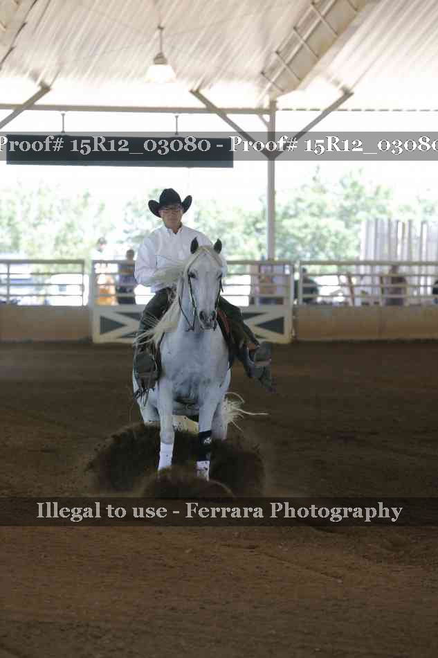 Proof 15R12_03080