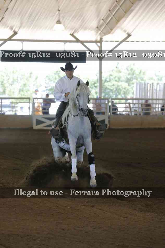 Proof 15R12_03081