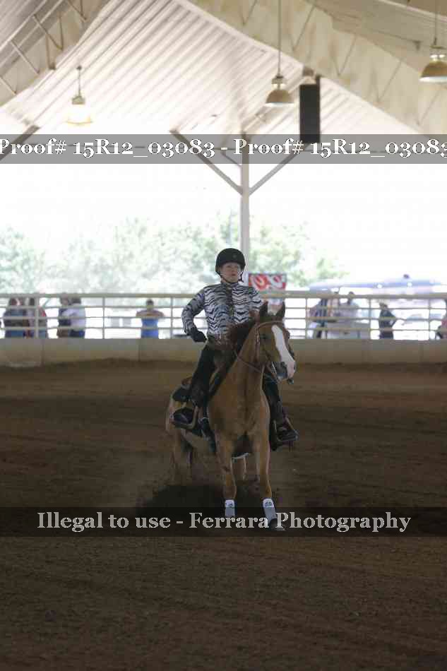 Proof 15R12_03083