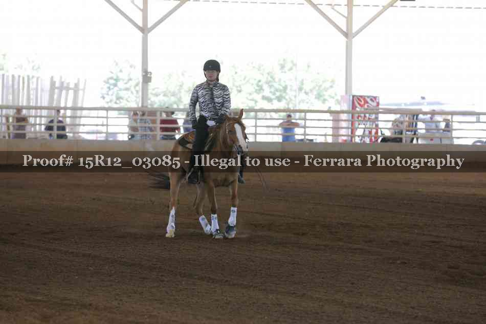 Proof 15R12_03085