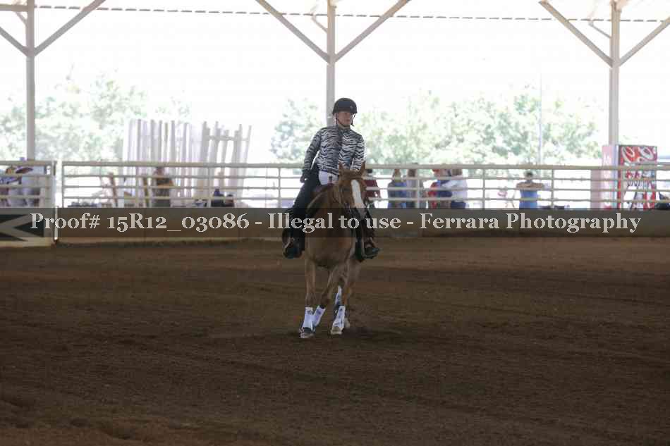 Proof 15R12_03086