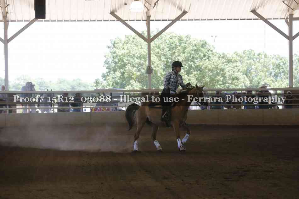 Proof 15R12_03088