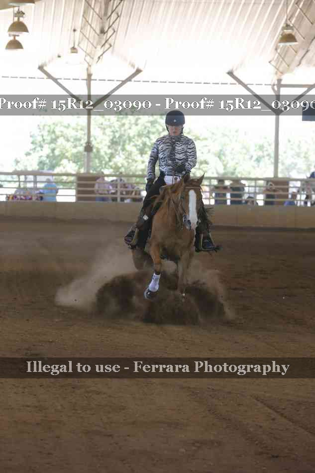 Proof 15R12_03090