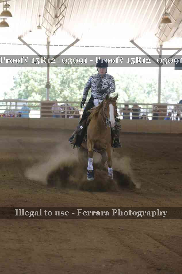 Proof 15R12_03091