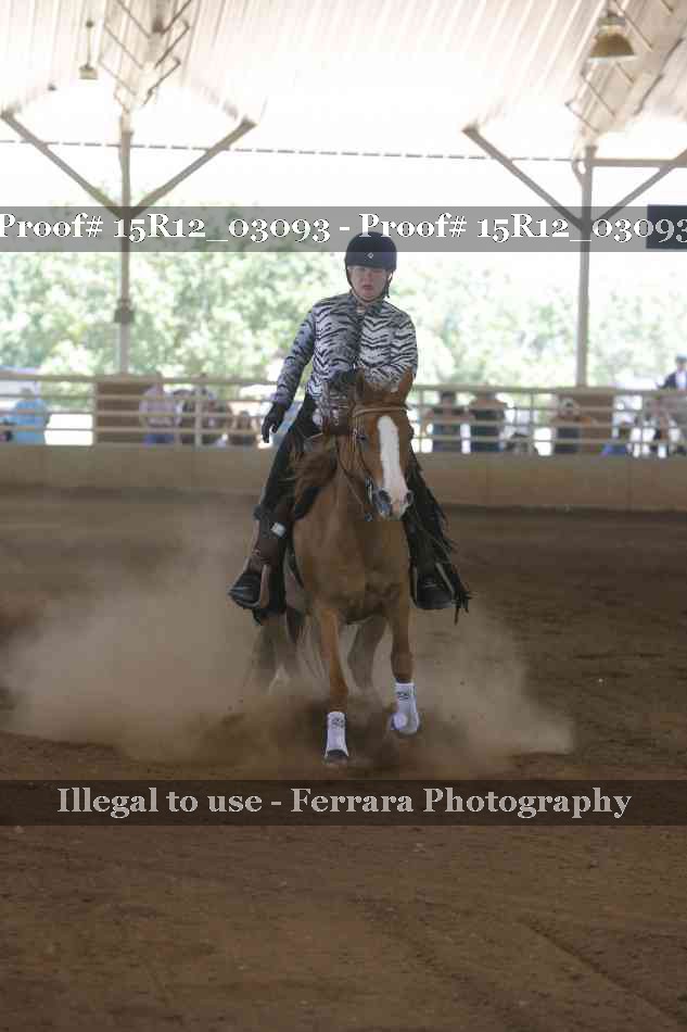 Proof 15R12_03093