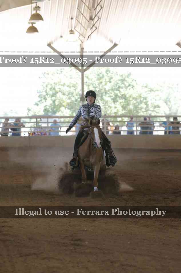 Proof 15R12_03095
