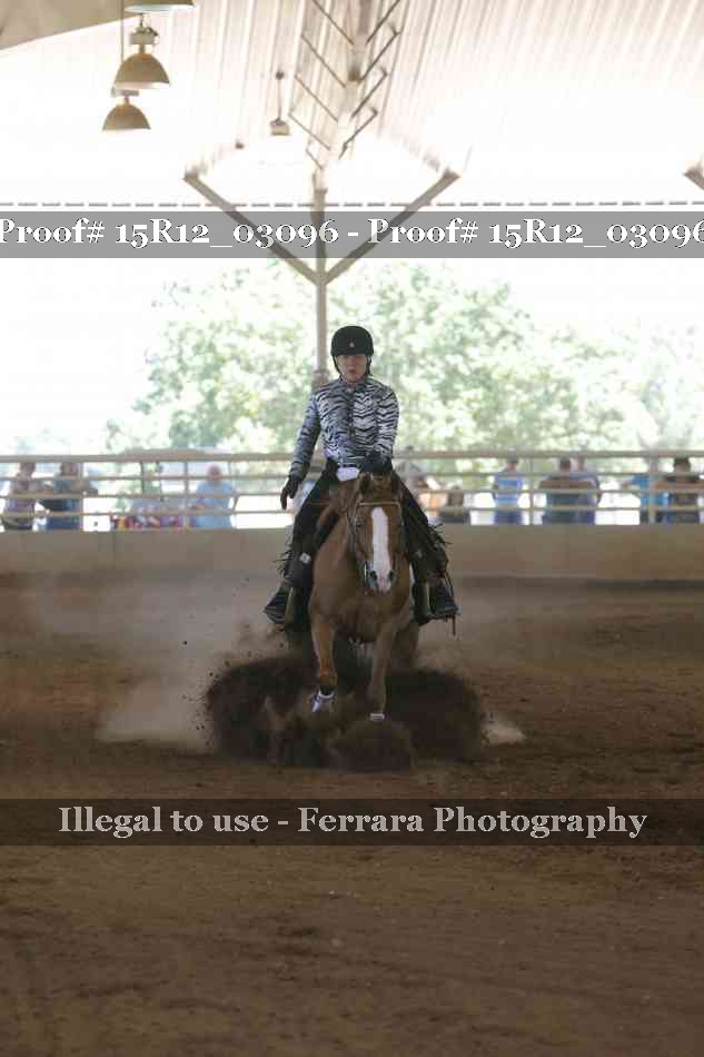 Proof 15R12_03096