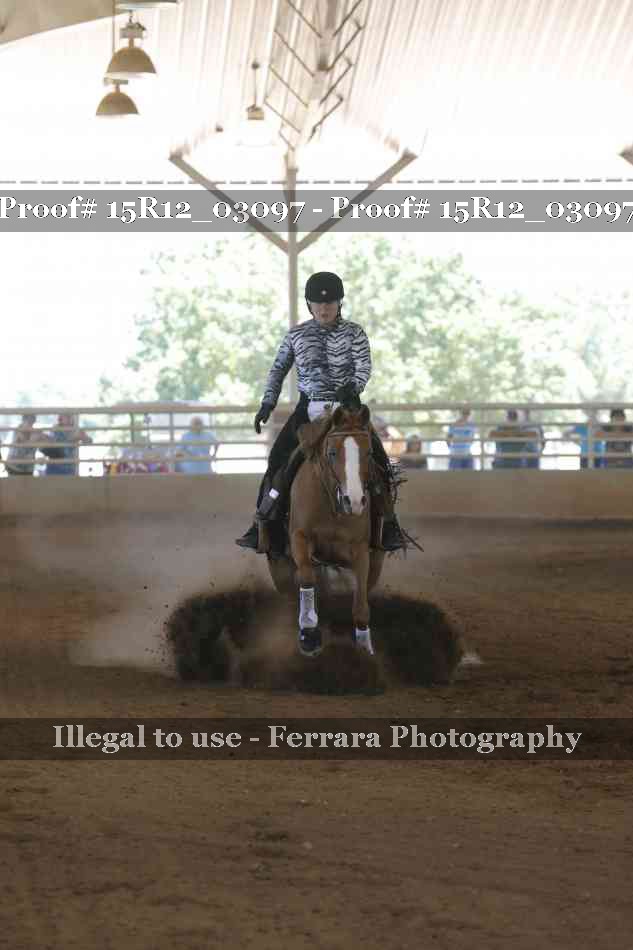 Proof 15R12_03097