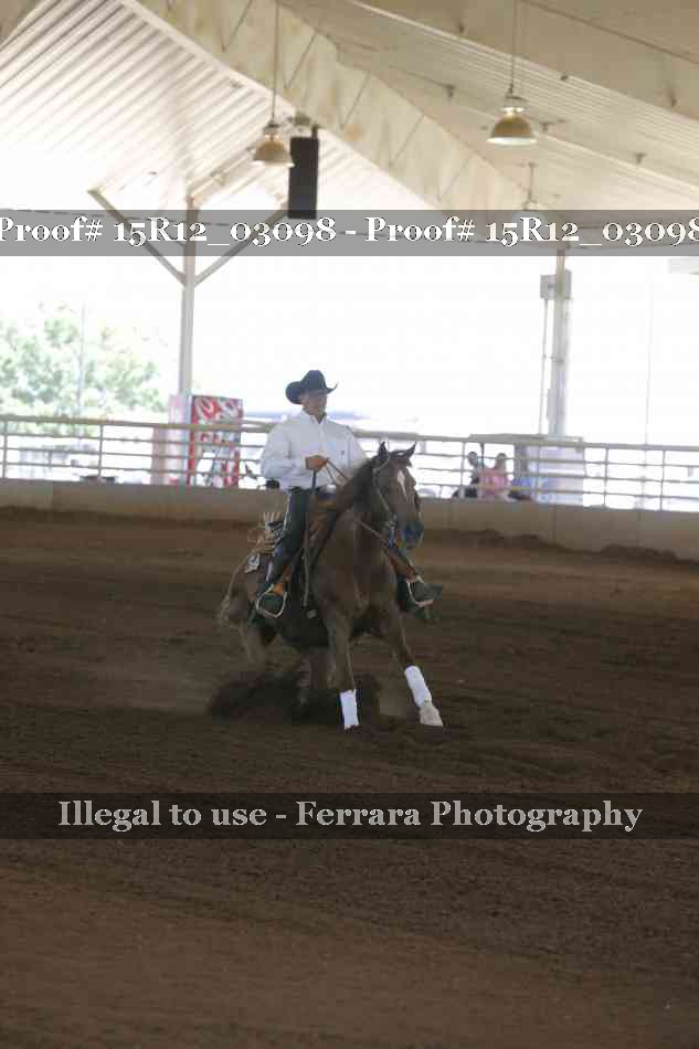 Proof 15R12_03098