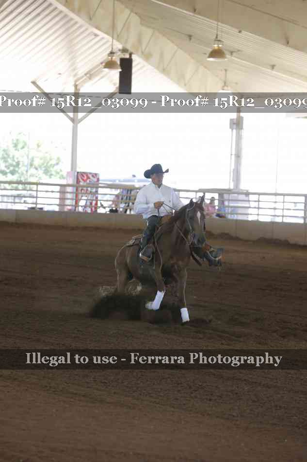 Proof 15R12_03099
