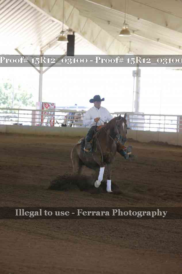 Proof 15R12_03100