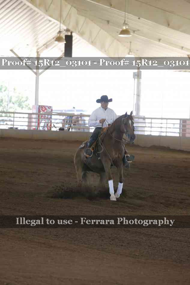 Proof 15R12_03101