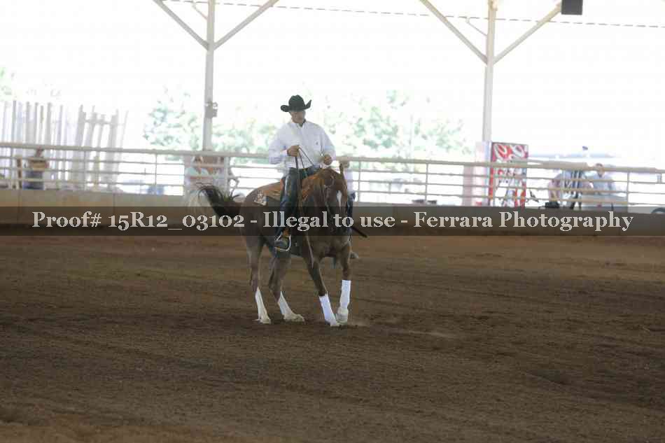 Proof 15R12_03102